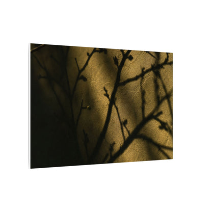 Golden Hour Shadow Play Canvas Art - Dark Japandi Seijaku