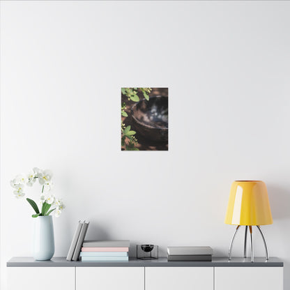 Ceramic Bowl Shadow Zen Canvas Art | Moody Dark Japandi Art