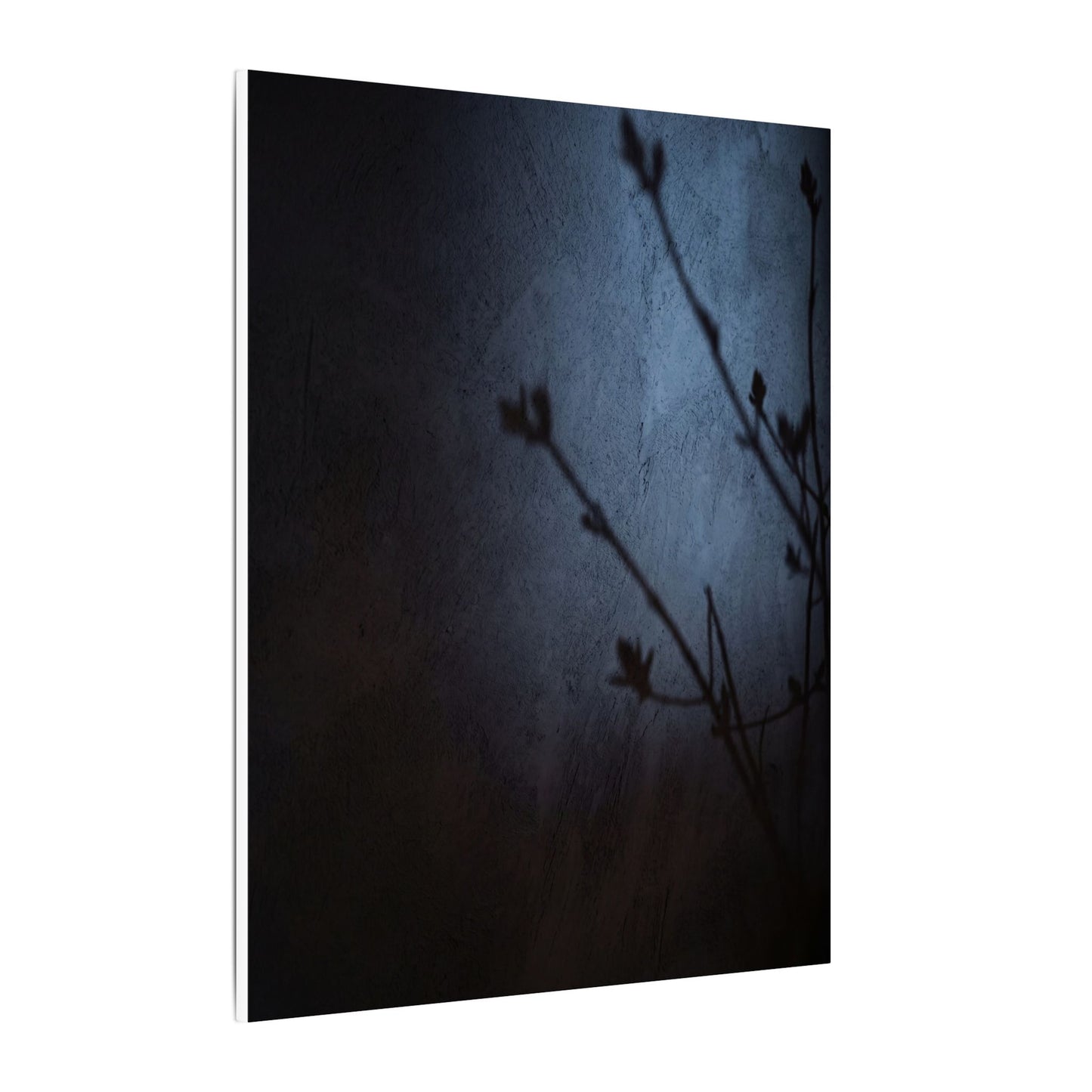 Shadow Play Canvas Art | Spring Dark Japandi Moody Minimal Art
