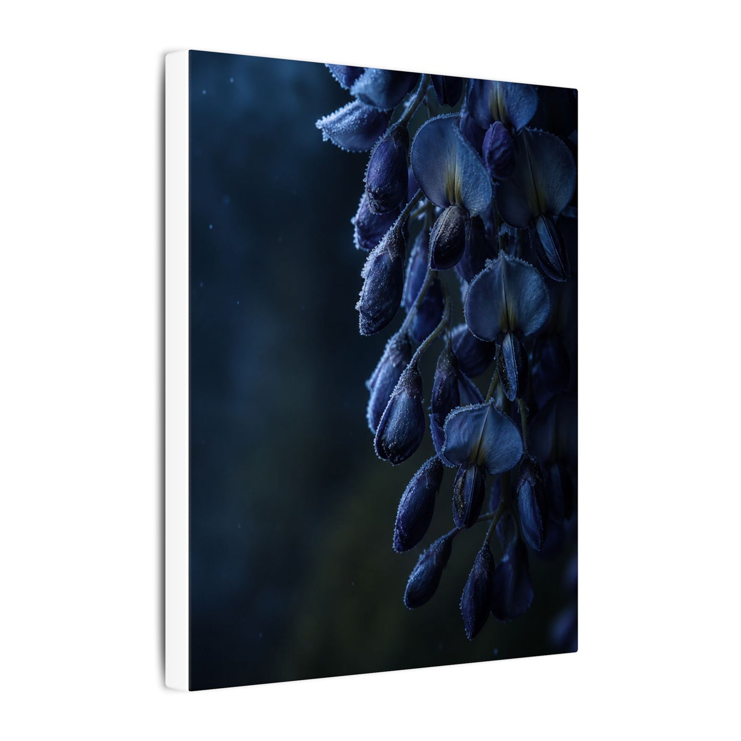 Winter Wisteria Shadow Zen Canvas Art | Atmospheric Decor