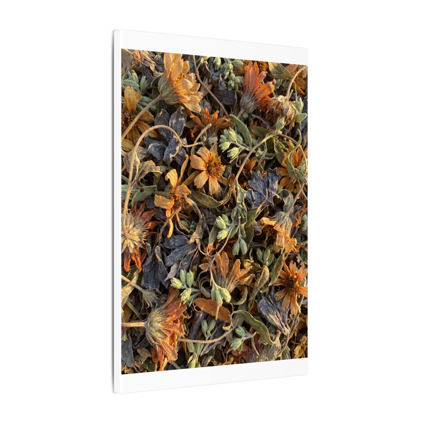 Spring Dried Flowers Japanese Pattern Canvas Art | Warm Decor