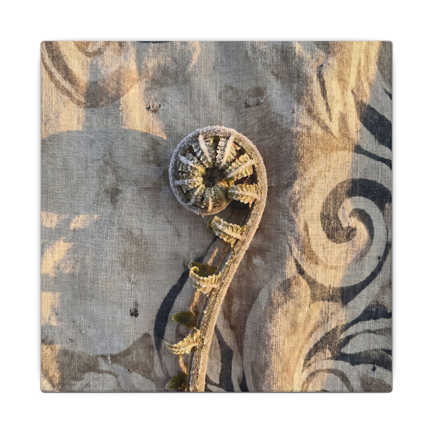 Fern Unfurling Canvas Art | Winter Japandi Japanese Pattern Art