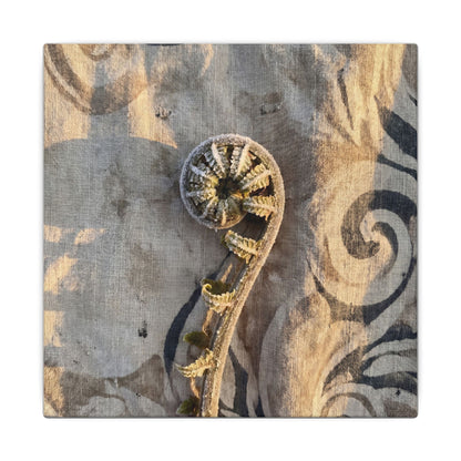 Fern Unfurling Canvas Art | Winter Japandi Japanese Pattern Art