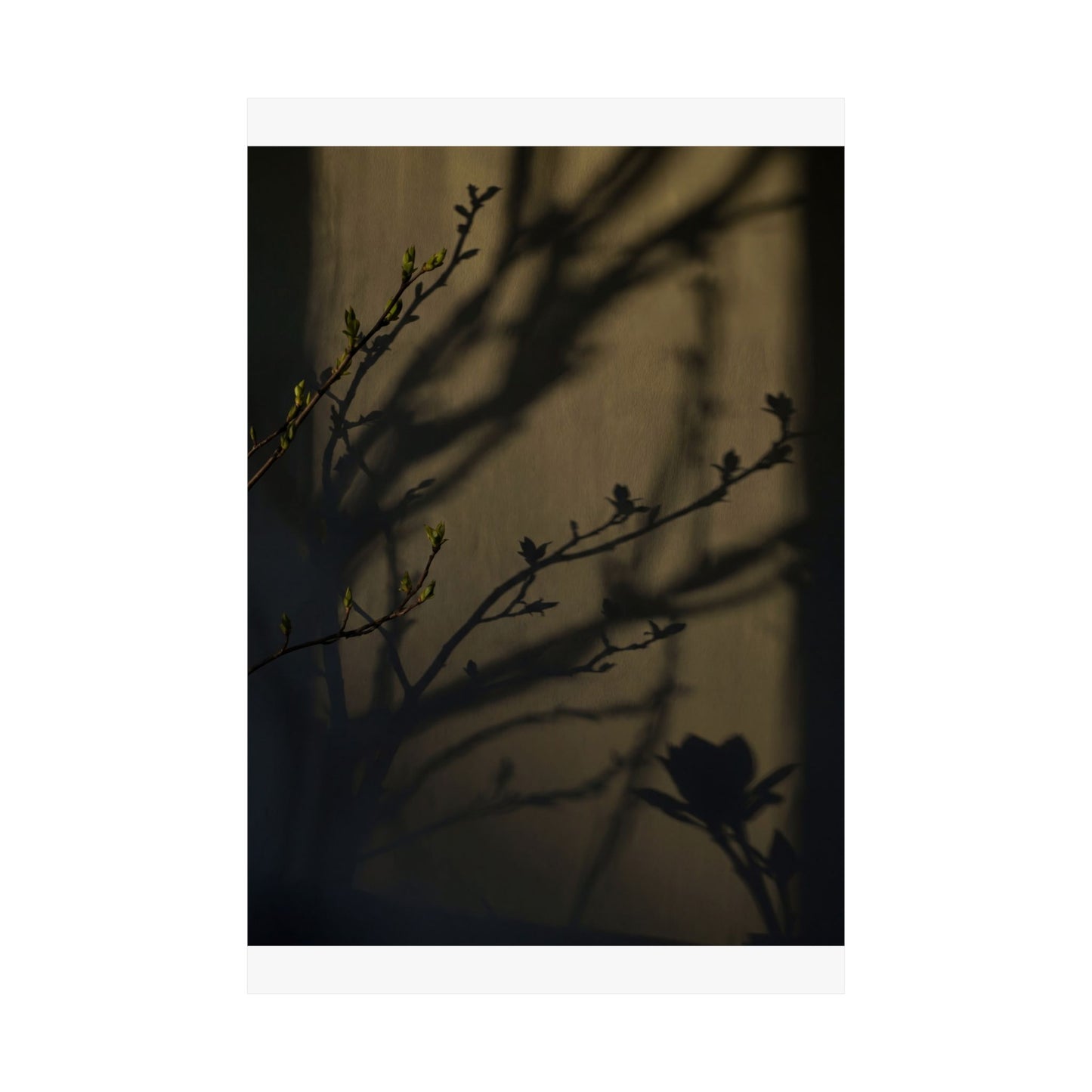 Spring Shadow Play Charcoal Ink Wall Art Print | Moody Decor