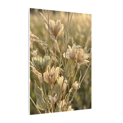 Summer Dried Flowers Minimal Line Canvas Art | Cozy Decor