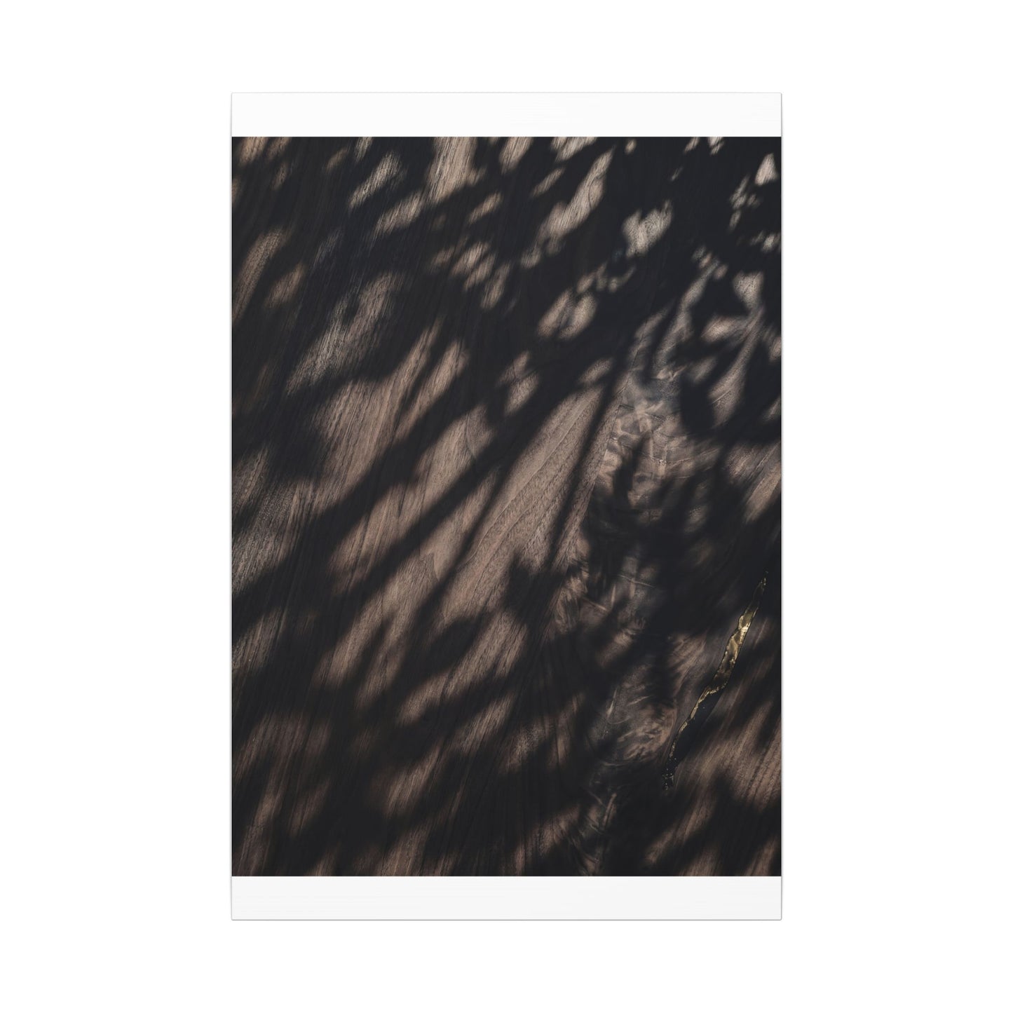 Shadow Play Summer Canvas Art | Dark Japandi Moody Design