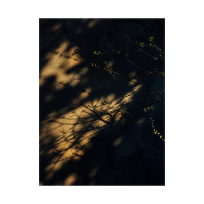 Shadow Play Spring Wall Art Print | Dark Japandi Bold Design