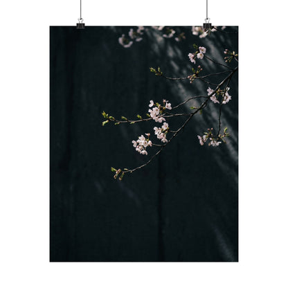 Cherry Blossom Wall Art Print | Spring Dark Japandi Moody Minimal Art Art Print