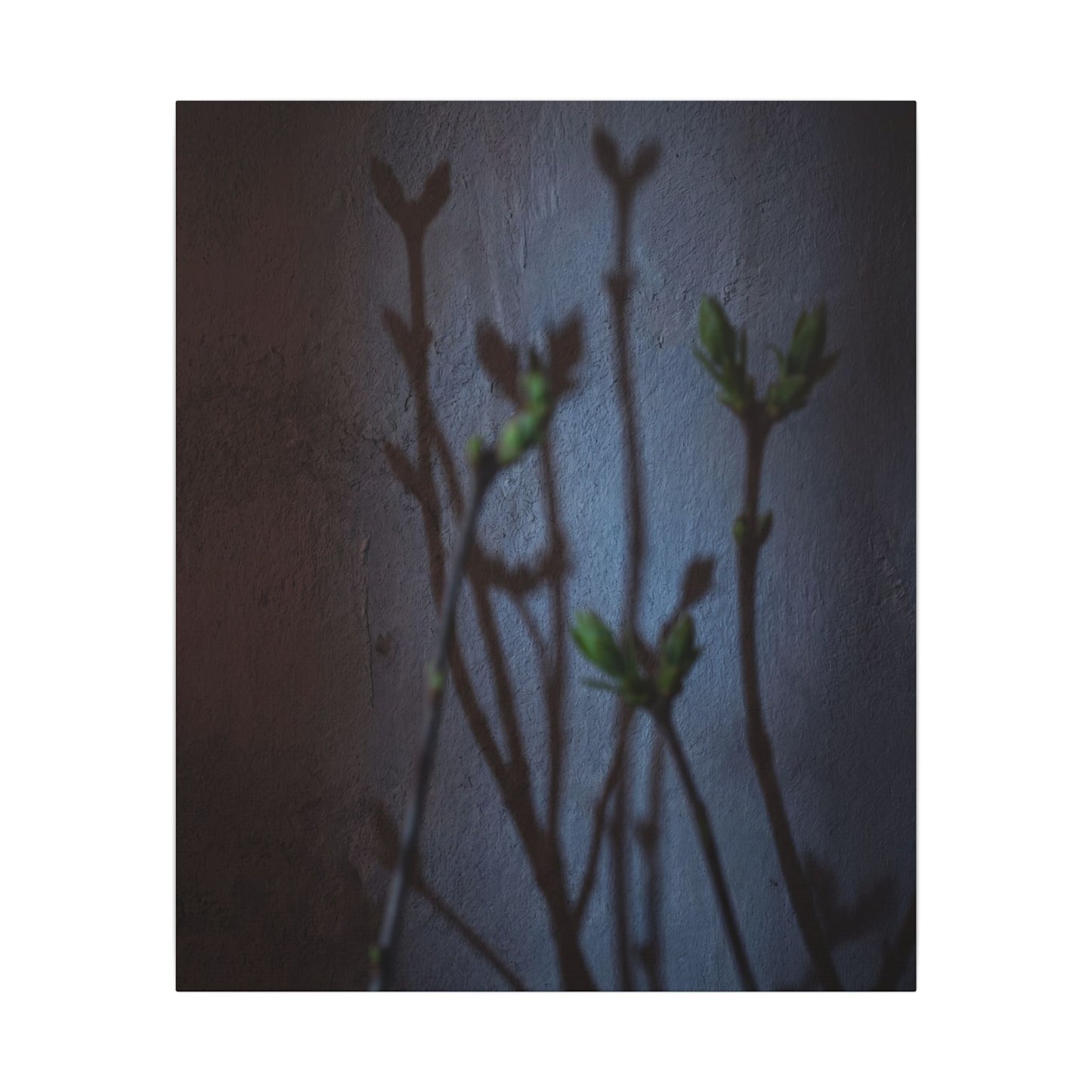Shadow Play Spring Canvas Art | Dark Japandi Sophisticated Design