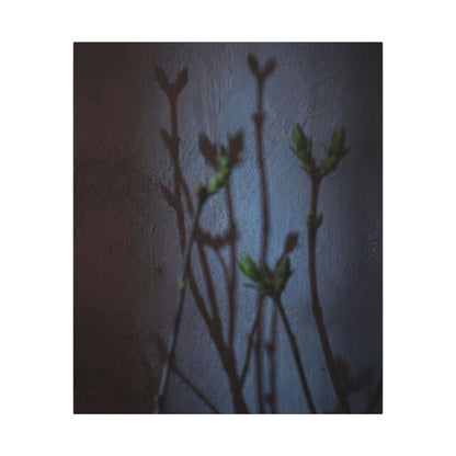 Shadow Play Spring Canvas Art | Dark Japandi Sophisticated Design