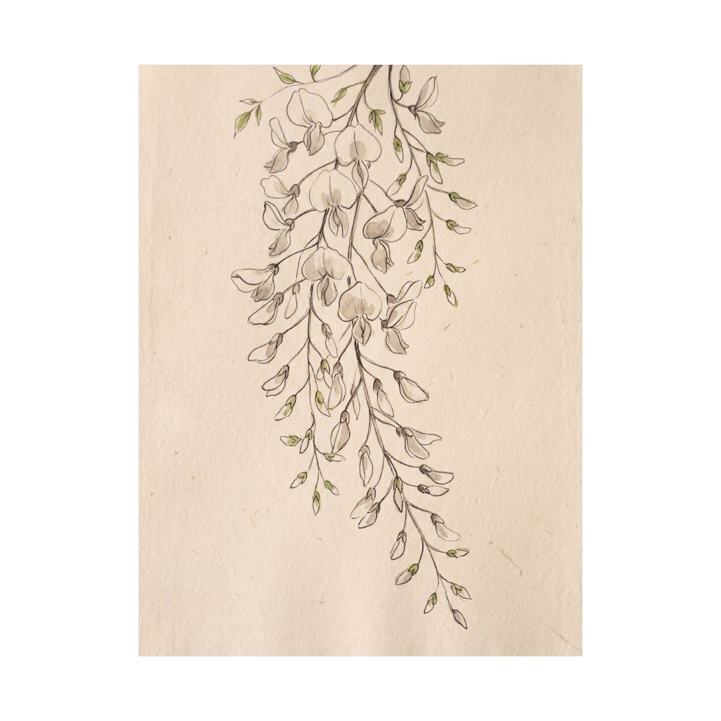 Golden Hour Wisteria Wall Art Print - Japandi Seijaku