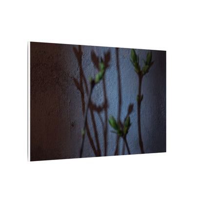 Shadow Play Spring Canvas Art | Dark Japandi Sophisticated Design