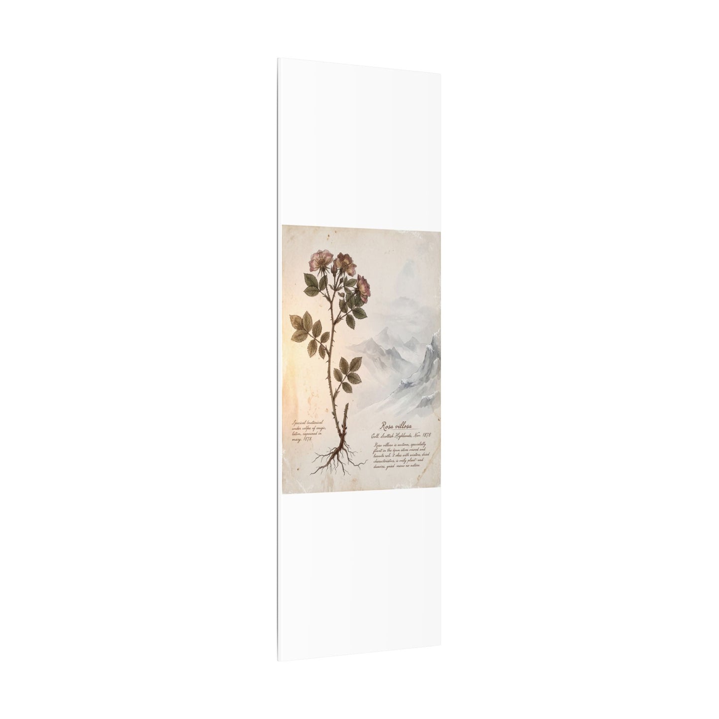 Winter Mountain Mist Herbarium Canvas Art | Earthy Decor