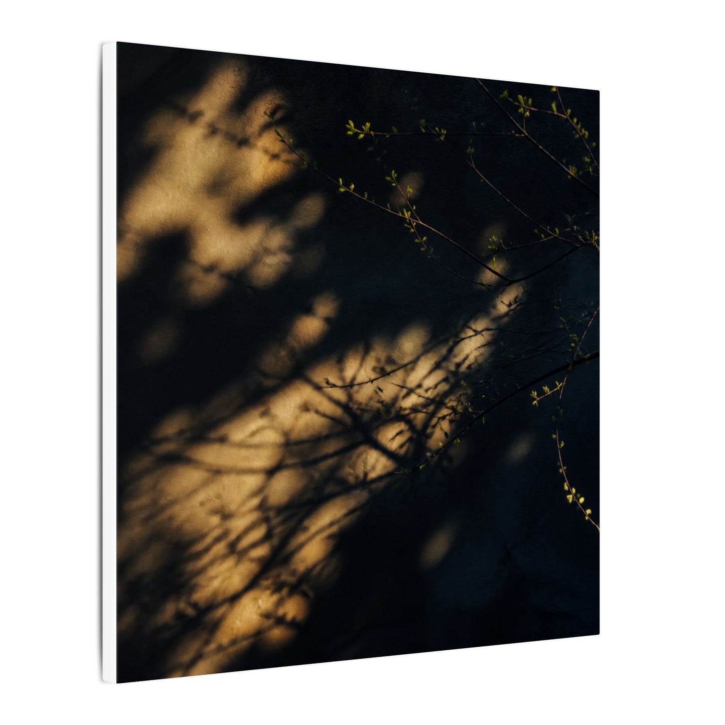 Moody Shadow Play Canvas Art - Moody Minimal Dark Japandi