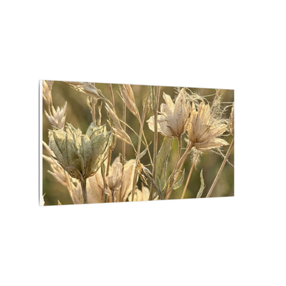 Summer Dried Flowers Minimal Line Canvas Art | Cozy Decor