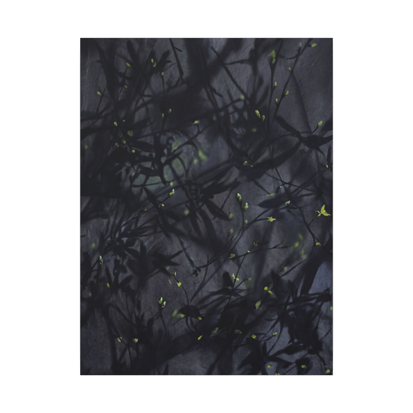 Shadow Play Spring Canvas Art | Dark Japandi Atmospheric Design