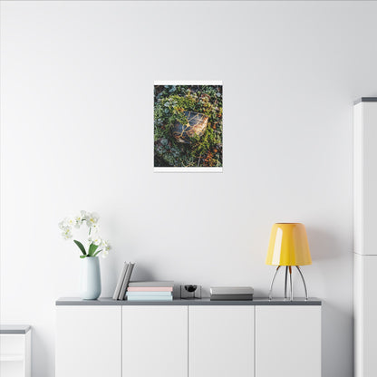 Artful Moss Close Up Canvas Art - Gold Repair Kintsugi