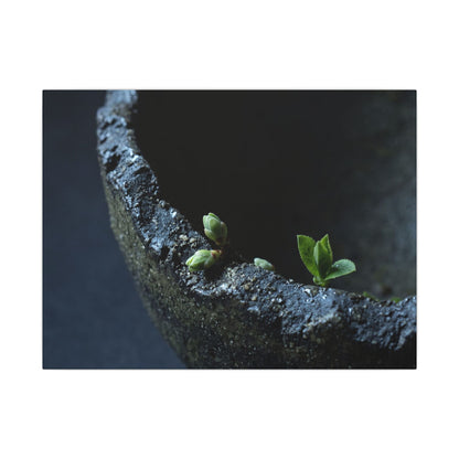 Dark Japandi Ceramic Bowl in Moonlight | Moody Minimal Canvas Art Art Print