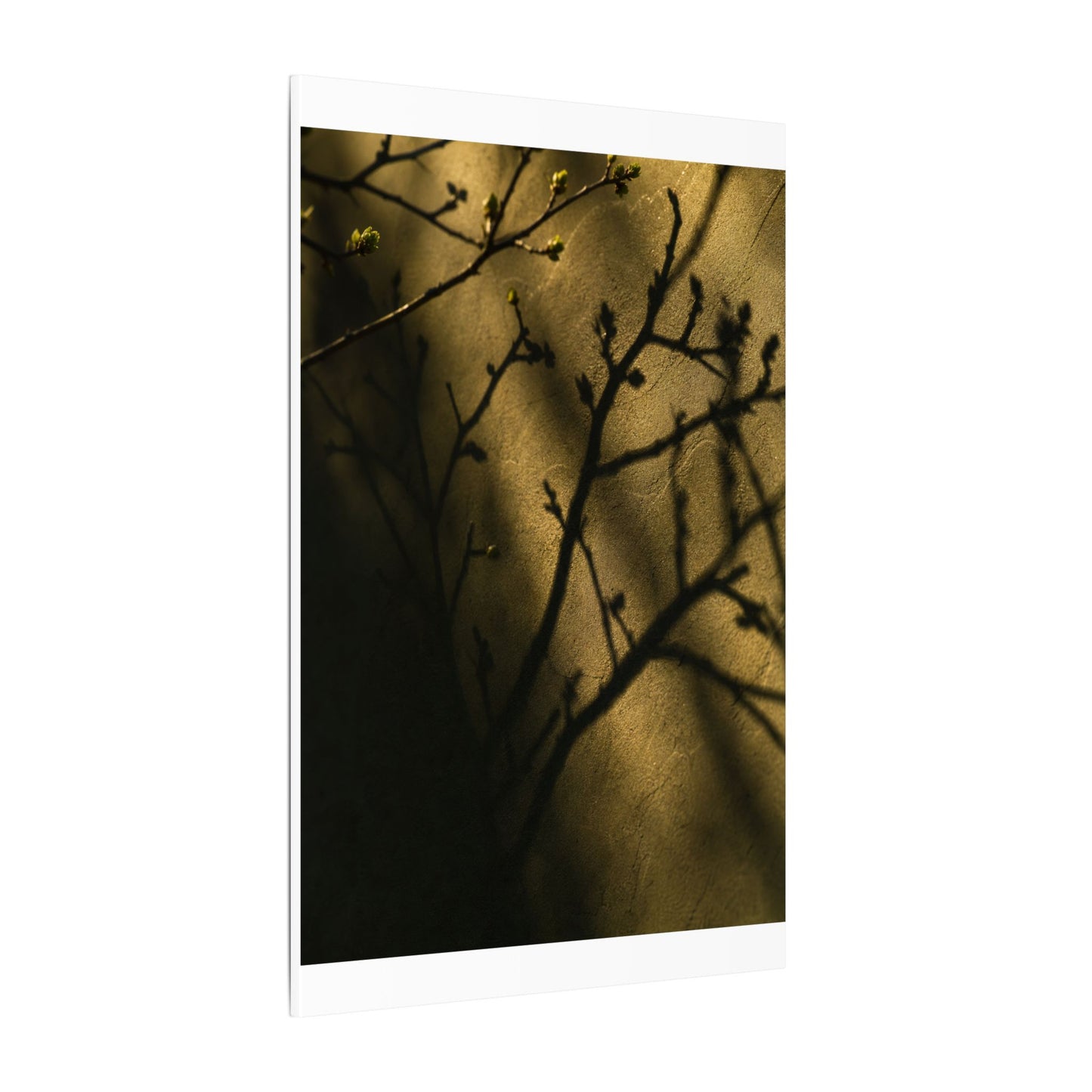 Golden Hour Shadow Play Canvas Art - Dark Japandi Seijaku