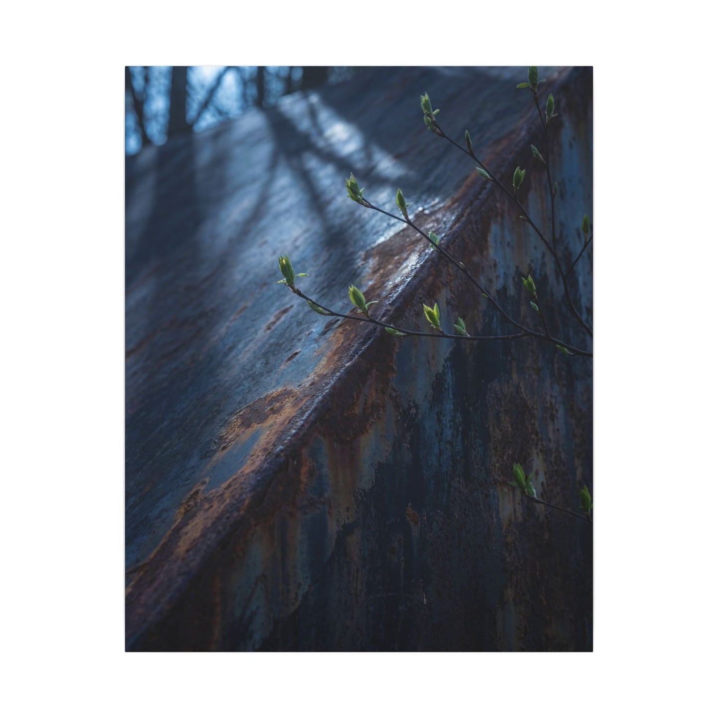 Rust Patina Canvas Art | Spring Dark Japandi Shadow Zen Art