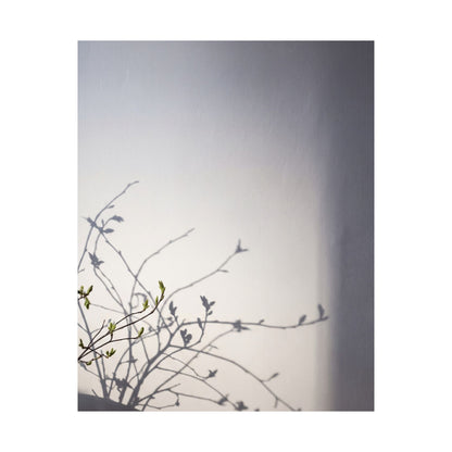 Japandi Shadow Play in Dawn | Japanese Pattern Wall Art Print