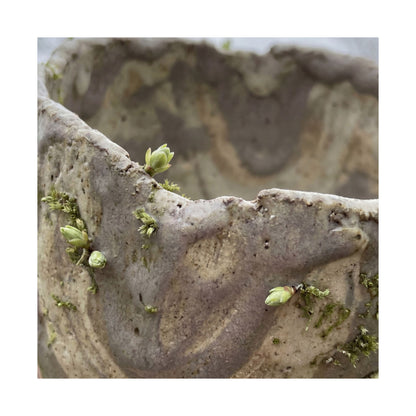 Overcast Ceramic Bowl Wall Art Print - Japandi Fukinsei