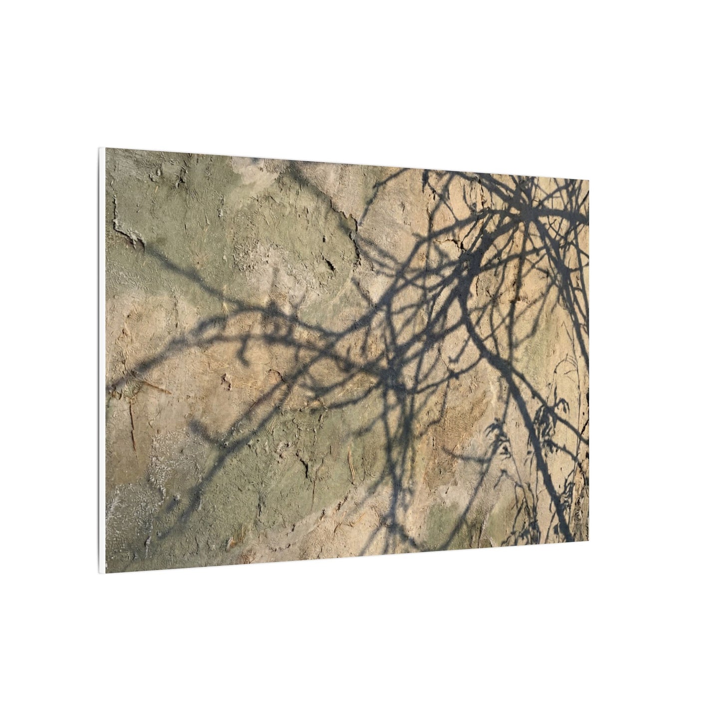 Japandi Shadow Play in Golden Hour | Texture Canvas Art