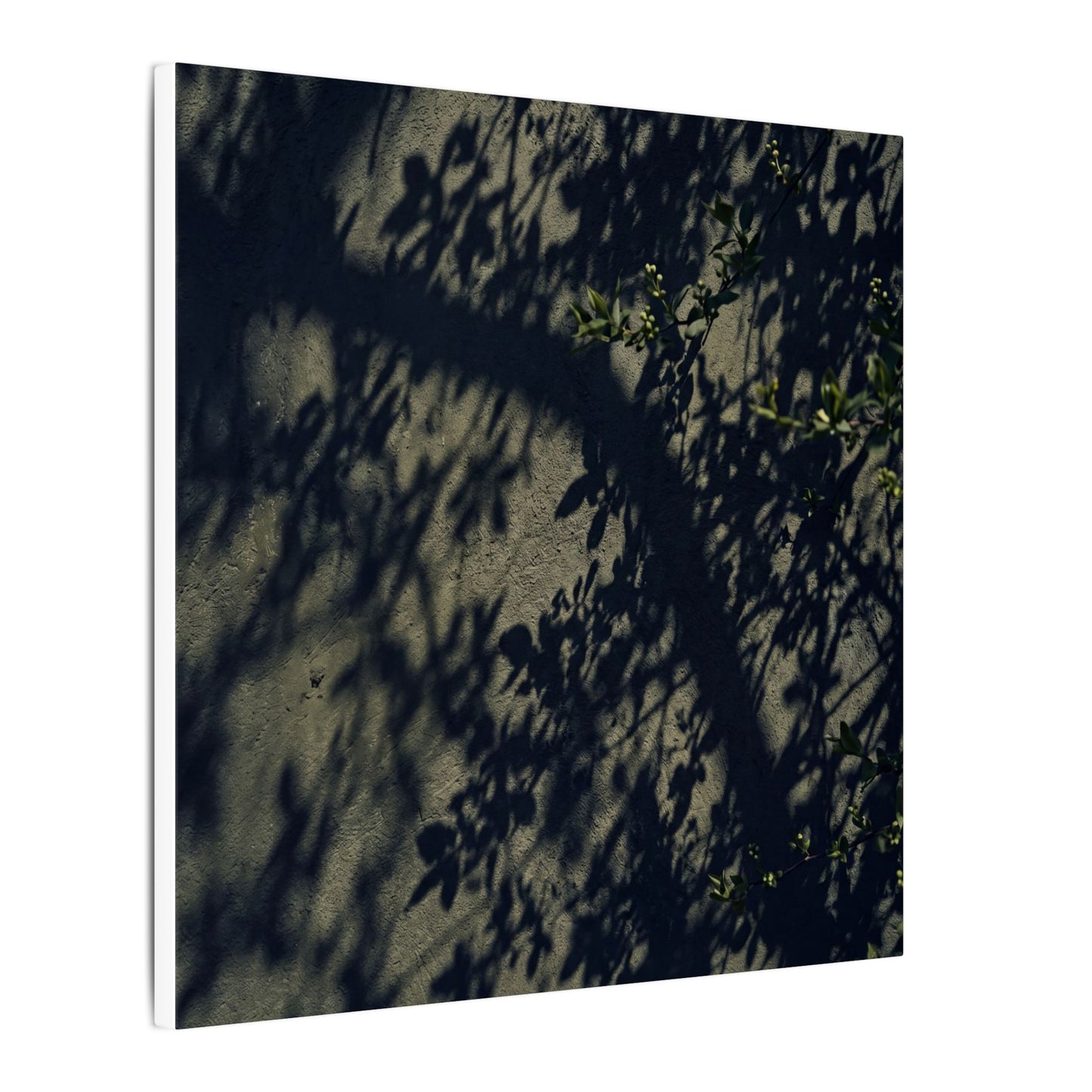 Atmospheric Shadow Play Canvas Art - Moody Minimal Dark Japandi