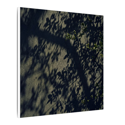 Atmospheric Shadow Play Canvas Art - Moody Minimal Dark Japandi