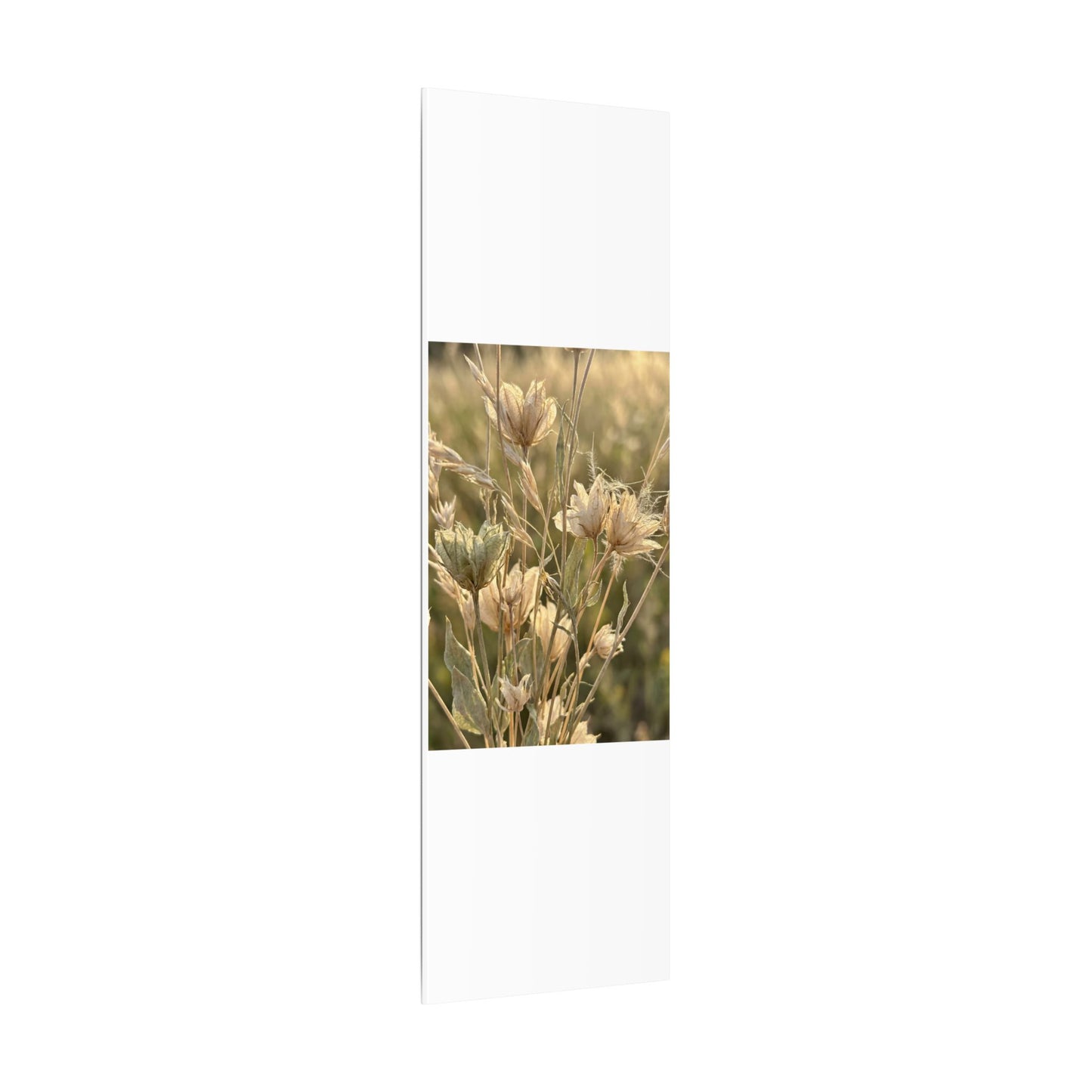 Summer Dried Flowers Minimal Line Canvas Art | Cozy Decor