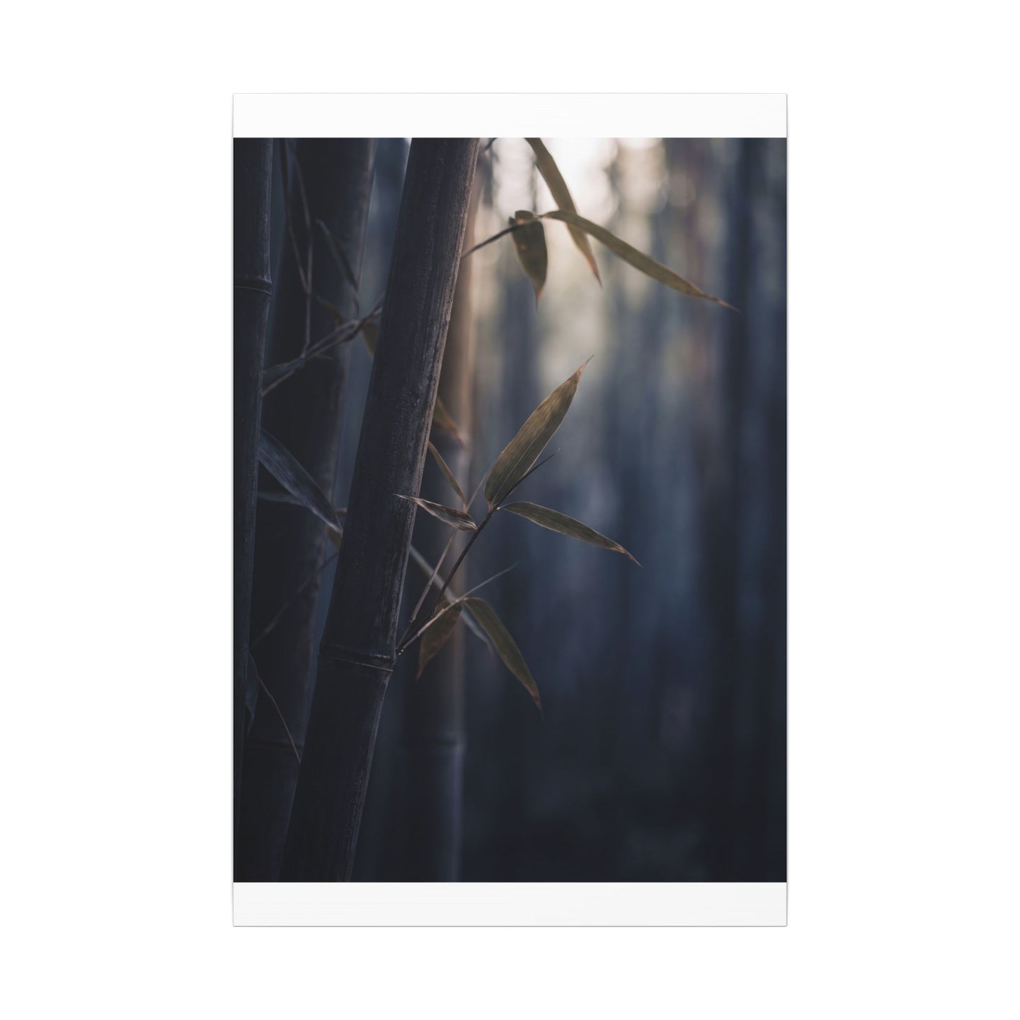 Dark Japandi Bamboo Grove in Dawn | Moody Minimal Canvas Art
