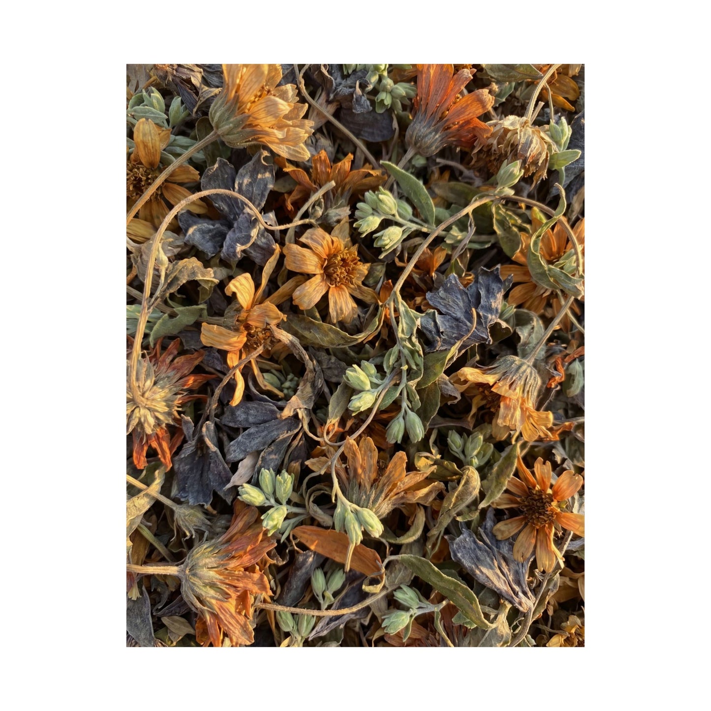 Spring Dried Flowers Japanese Pattern Wall Art Print | Warm Decor