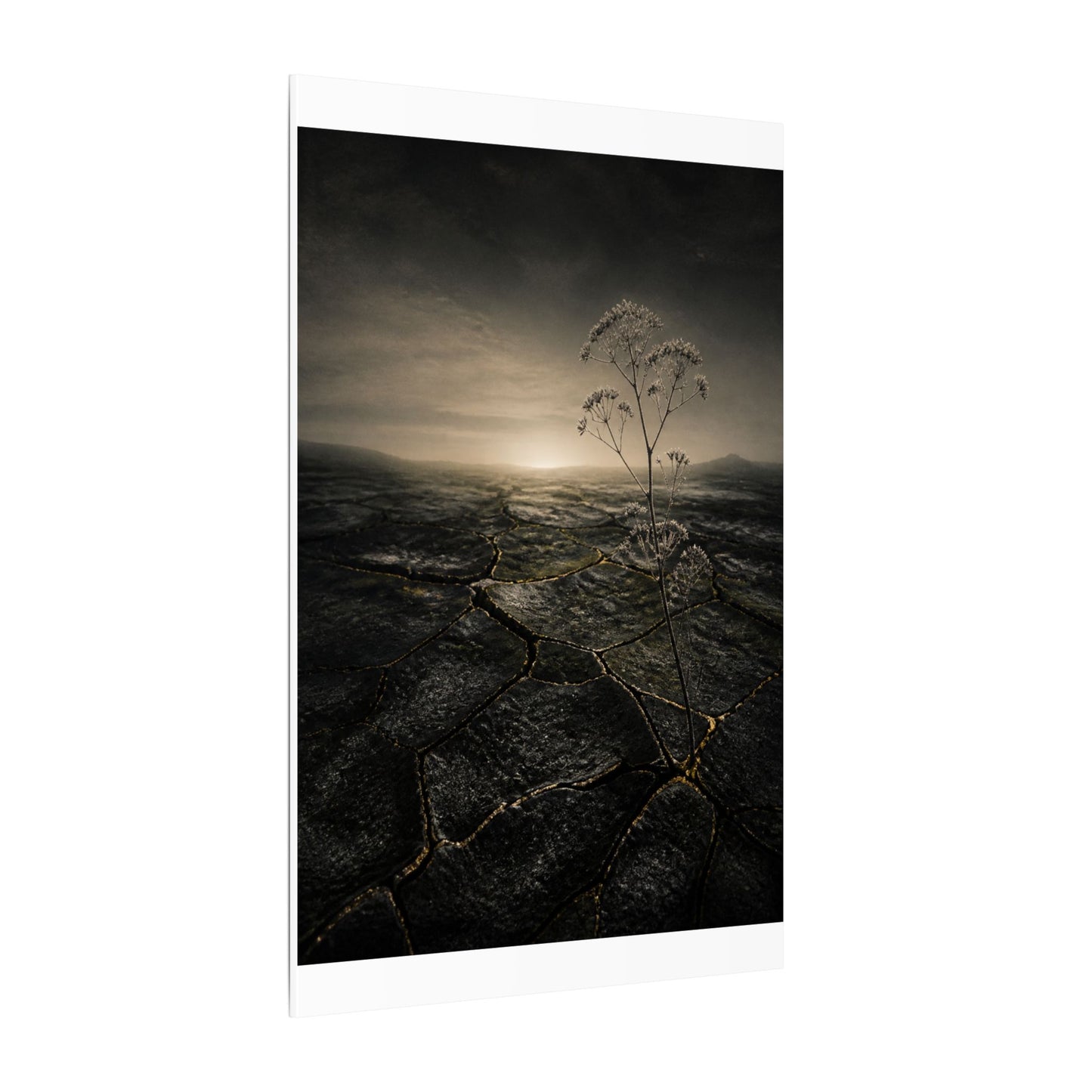 Dawn Cracked Earth Canvas Art - Dark Japandi Mono No Aware