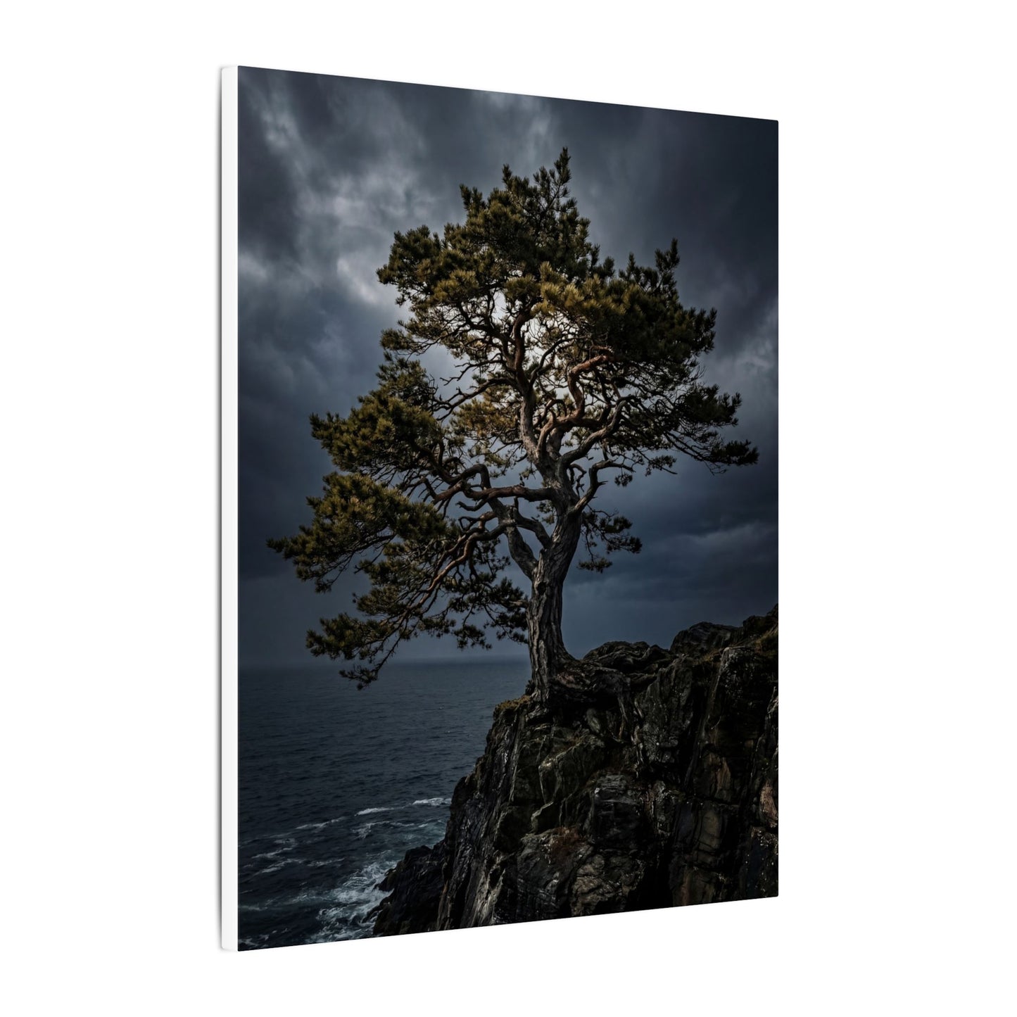 Dappled Pine Tree Canvas Art - Dark Japandi Fukinsei