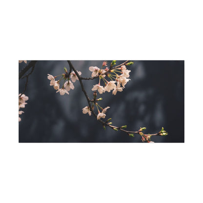 Cherry Blossom Moody Minimal Canvas Art | Bold Dark Japandi Art