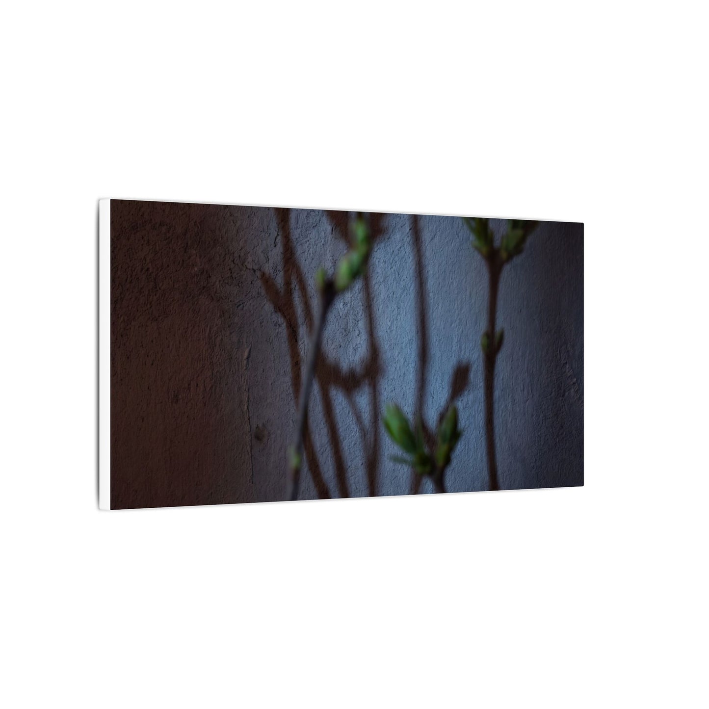 Shadow Play Spring Canvas Art | Dark Japandi Sophisticated Design
