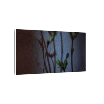 Shadow Play Spring Canvas Art | Dark Japandi Sophisticated Design