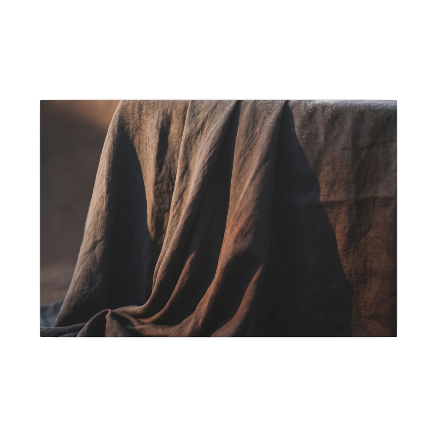 Silk Drape Canvas Art | Winter Dark Japandi Shadow Zen Art