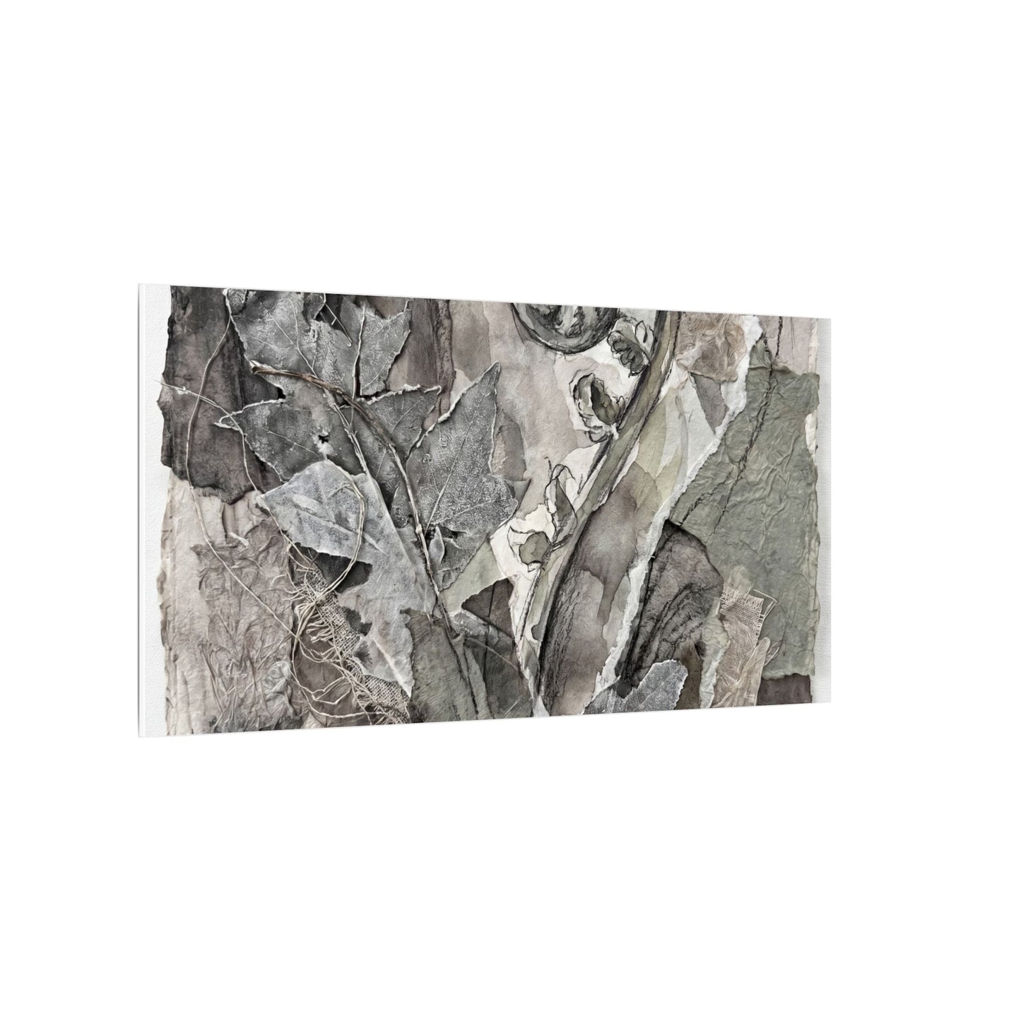 Japandi Fern Unfurling in Overcast | Texture Canvas Art