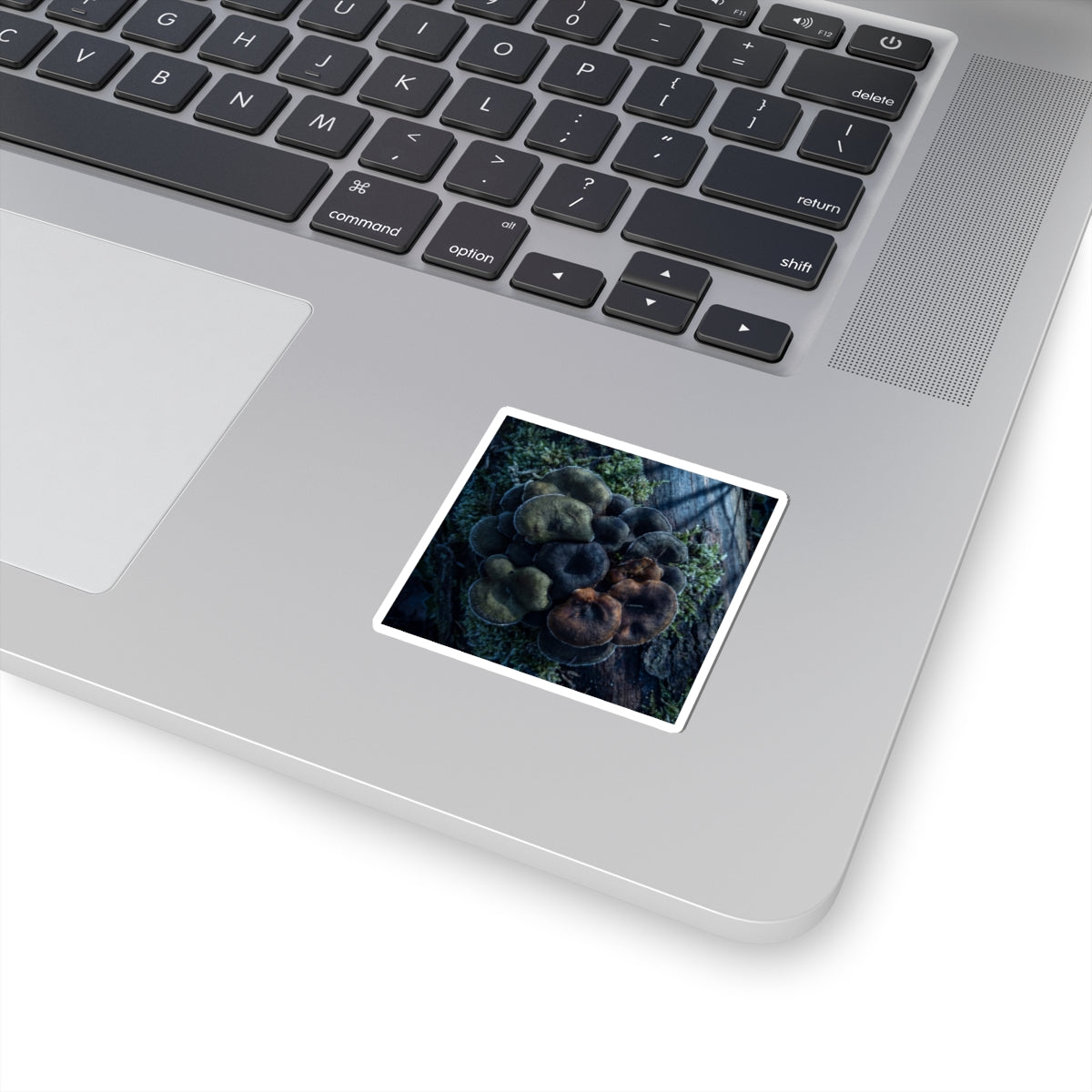 Wild Mushrooms Sticker | Winter Dark Japandi Moody Minimal Art