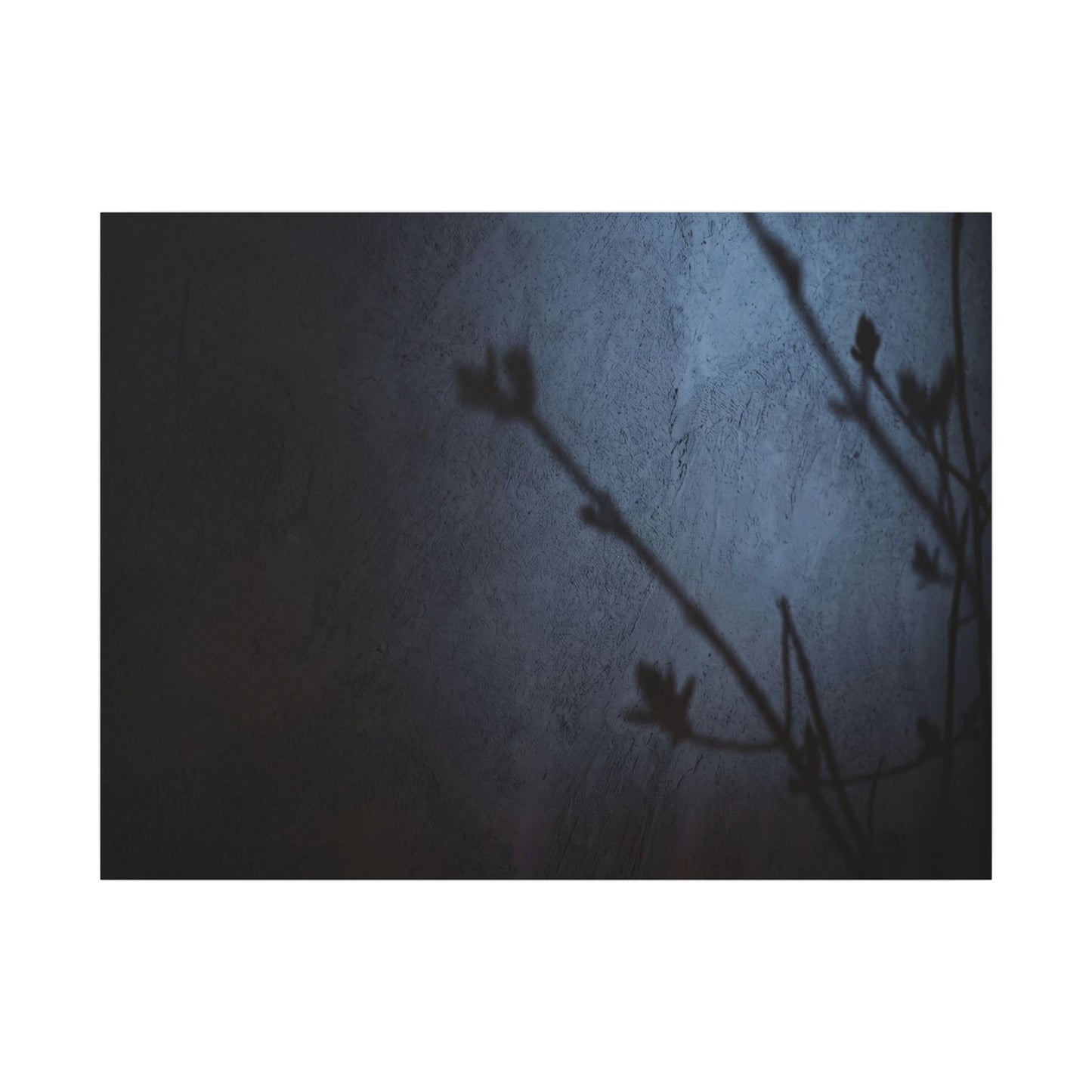 Shadow Play Canvas Art | Spring Dark Japandi Moody Minimal Art