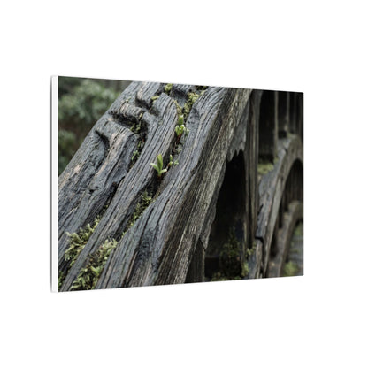 Overcast Wooden Bridge Canvas Art - Japandi Kanso