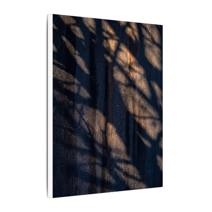 Dark Japandi Shadow Play in Golden Hour | Shadow Zen Canvas Art