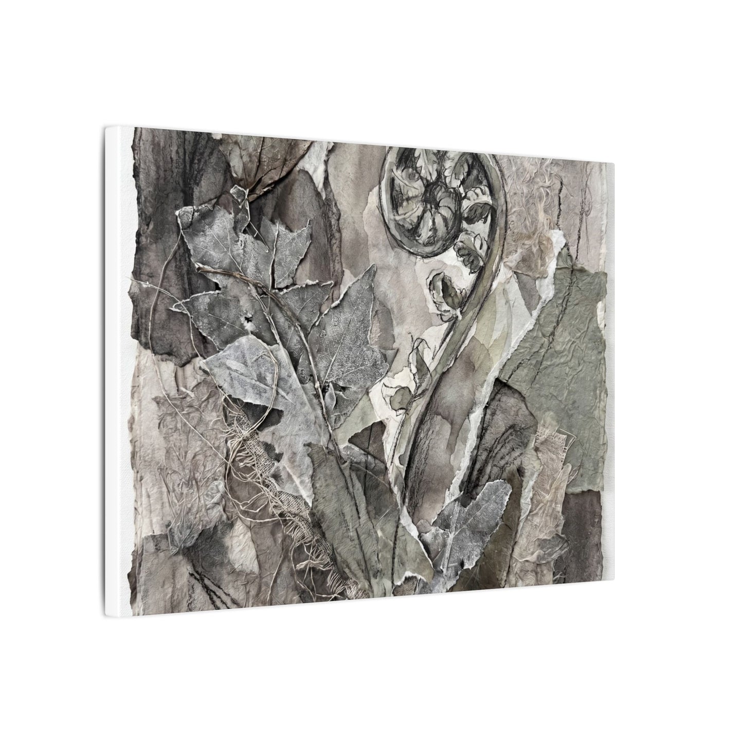 Japandi Fern Unfurling in Overcast | Texture Canvas Art