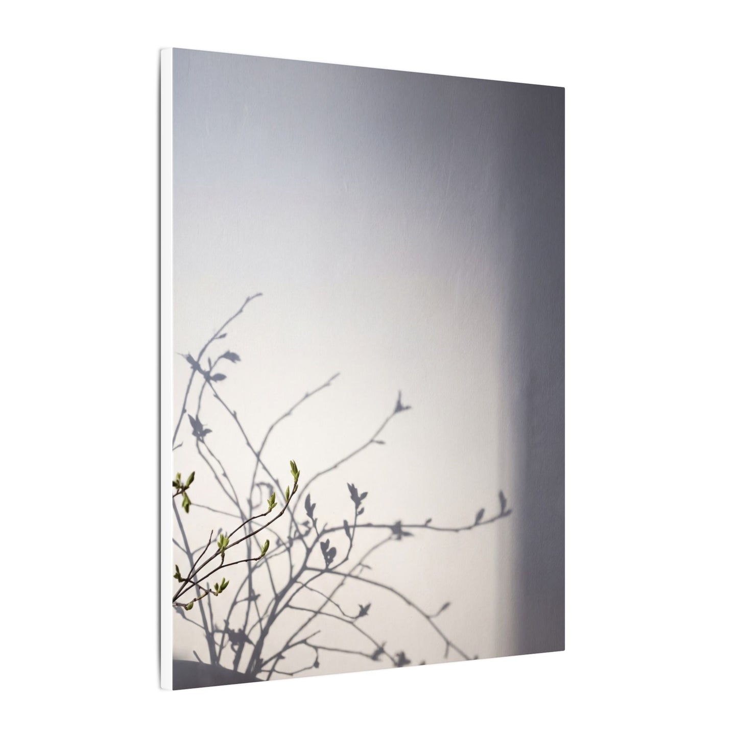 Japandi Shadow Play in Dawn | Japanese Pattern Canvas Art
