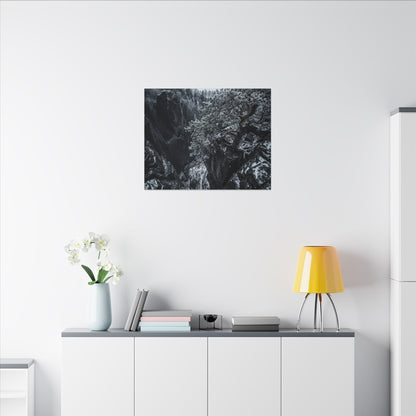 Dark Japandi Pine Tree in Dappled | Dark Texture Canvas Art