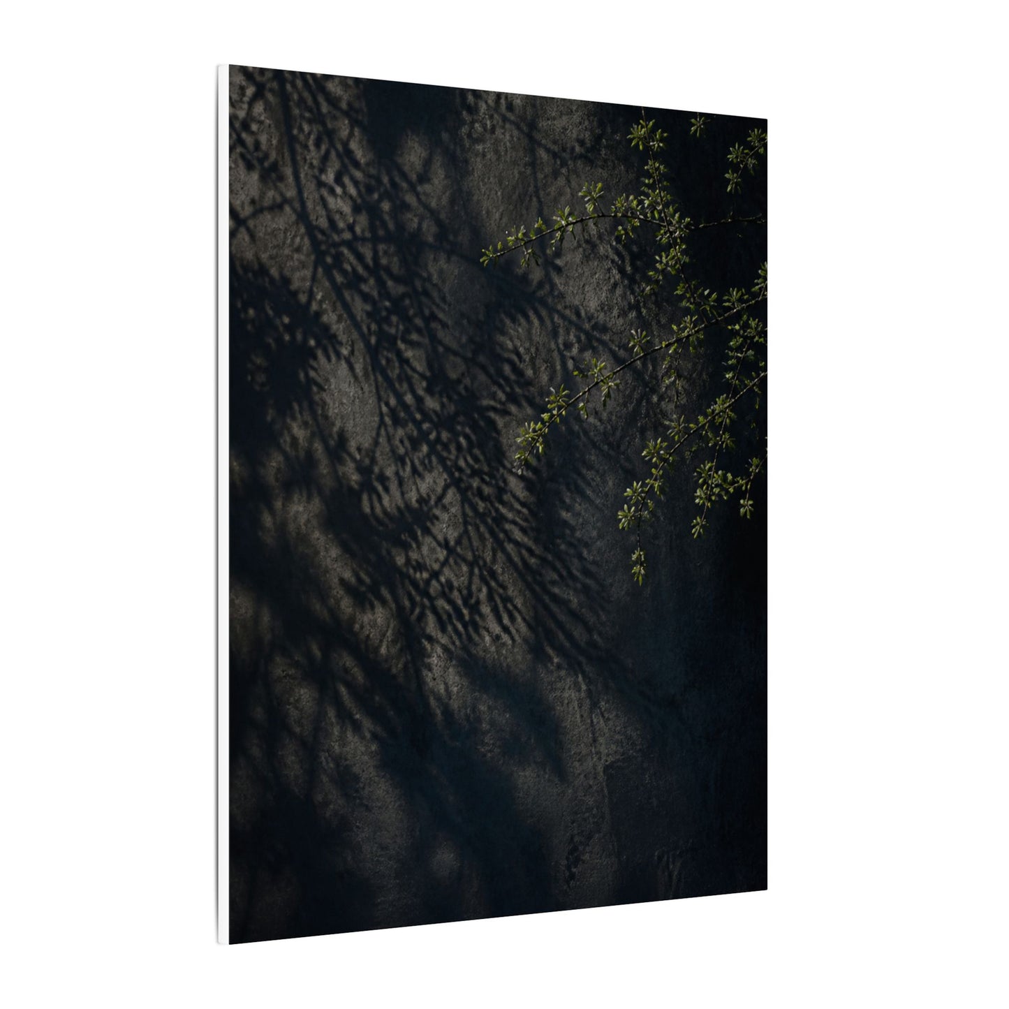 Overcast Shadow Play Canvas Art - Dark Japandi Seijaku