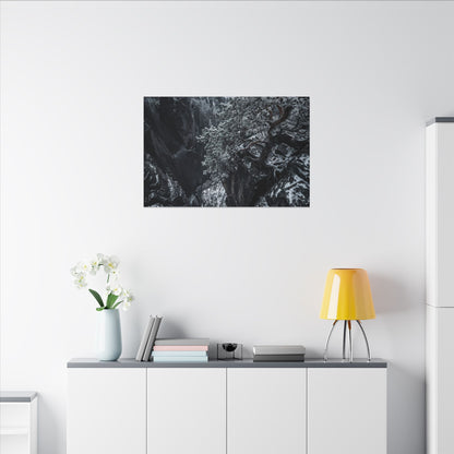 Dark Japandi Pine Tree in Dappled | Dark Texture Canvas Art