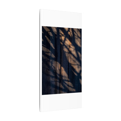 Dark Japandi Shadow Play in Golden Hour | Shadow Zen Canvas Art