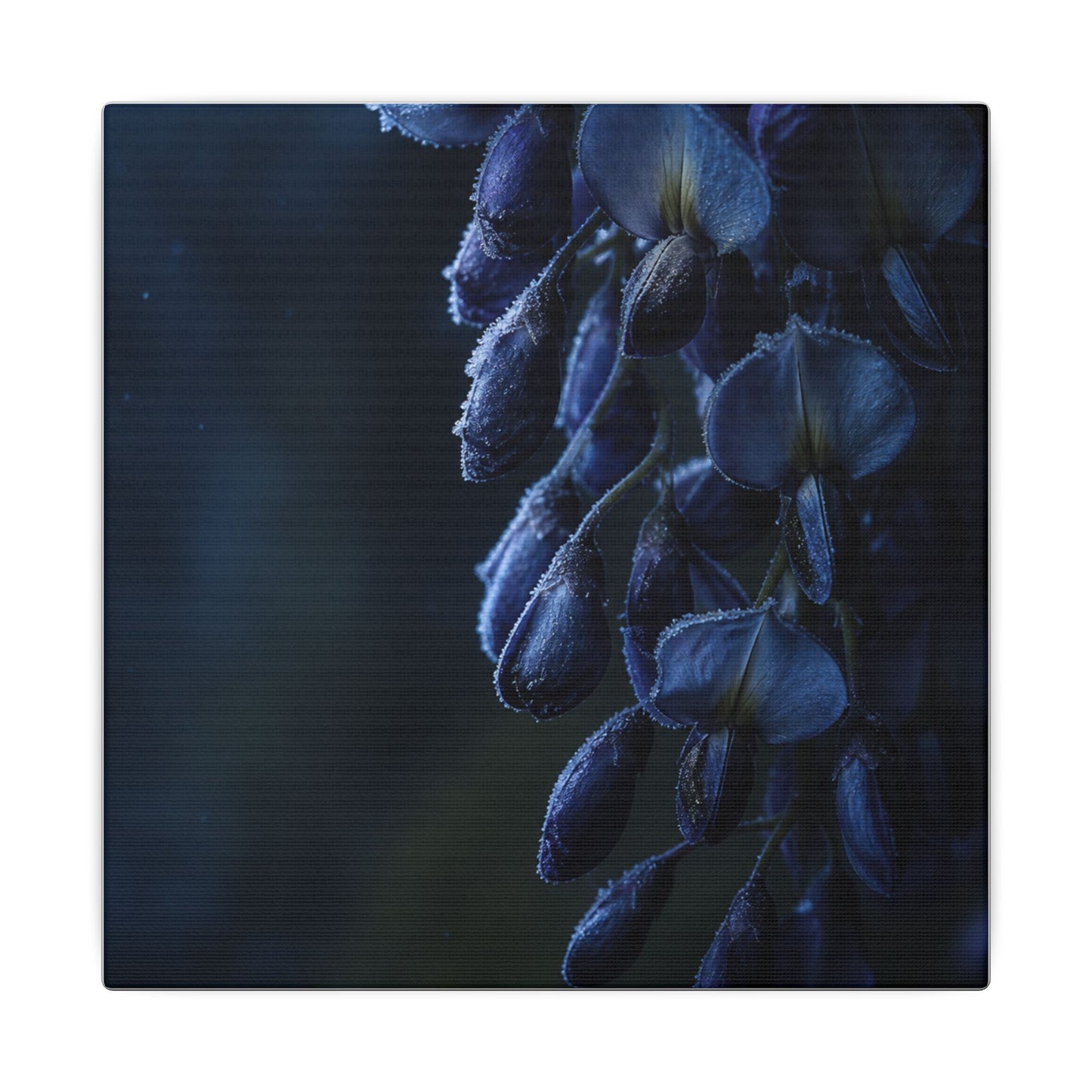 Winter Wisteria Shadow Zen Canvas Art | Atmospheric Decor